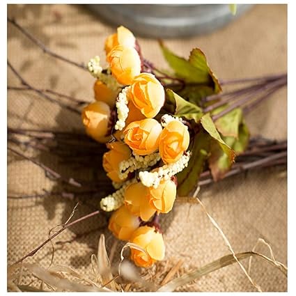 Pictures Yellow Irises Yellow Irises Lat Iris Flowers