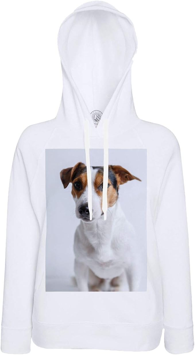 Hoodies Portrait Small Dog White Black Brown Cute Pet Fabulous WORLD