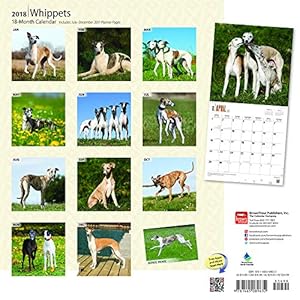 Whippets 2018 12 x 12 Inch Monthly Square Wall Calendar, Animals Dog Breeds (Multilingual Edition)