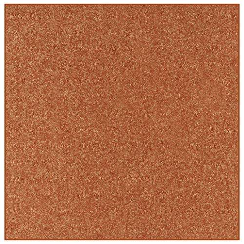 Photo 1 of Ambiant Pet Friendly Solid Color Area Rug Rust