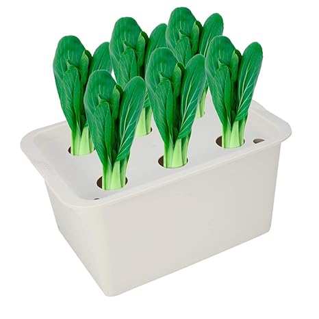 Zerodis Plant Hydroponic System Cabinet Box 6 Holes Plant Site