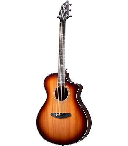 Amazon.com: Breedlove Wildwood Pro Concerto CE 6-String African