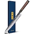 HOSHANHO Sushi Knife Japanese Sashimi Knives 10 Inch, Hand Forged High Carbon Steel Yanagiba Knife, Kitchen Chef Knives for Cutting Sushi & Sashimi, Fish Filleting