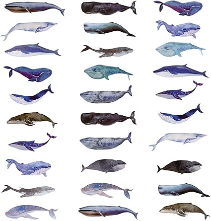 Amazon Hanairo ブックマーク くじら 鯨 綺麗 可愛い おしゃれ しおり 栞 ３０枚セット 型抜き しおり 文房具 オフィス用品