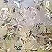 rabbitgoo Frosted Window Film Non-Adhesive Decorative Leaf Static Cling Privacy Glass Film, 17.5 x 78.7 inches (1.46 x 6.56 feet), Brown