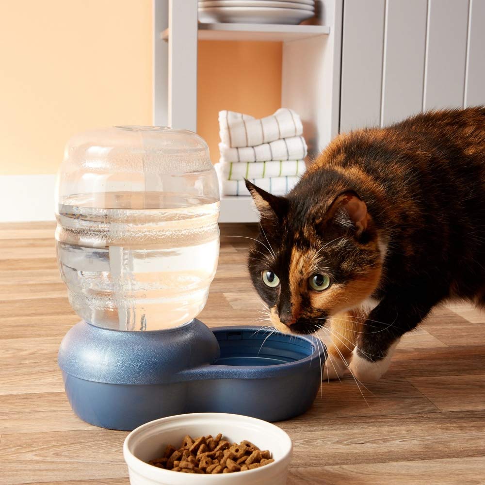 gravity refill pet waterer