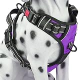 PoyPet No Pull Dog Harness, Reflective Vest Harness with 2 Leash Attachments and Easy Control Handle(Purple,L)