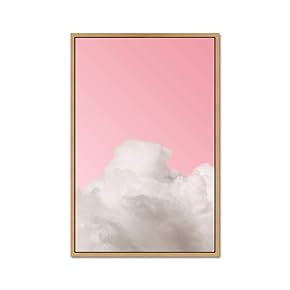 SIGNWIN Framed Canvas Wall Art Sky Canvas Prints...