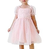 Toddler Girl Flower Gril Princess Dresses Dot Tulle Puff Sleeve Party Tutu Dress for Birthday