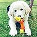 DOG CHEW & TUG Bone for Smaller Breeds and Puppies by Mary & Kate Pets, Great for Puppy Play, Training, Fetch, Rope Tug of War and Interactive Games