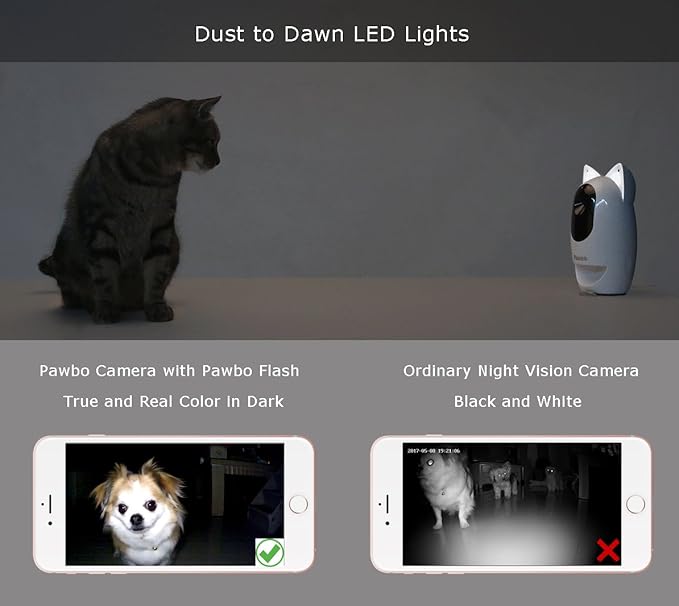 pawbo life pet camera