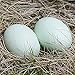MasterPro Wooden Fake Eggs-6 pieces