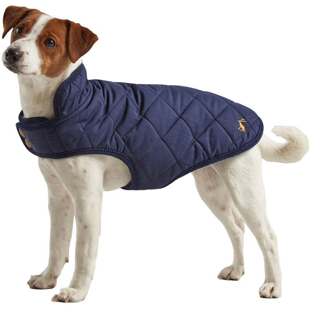 Rosewood x Joules Navy Blue Quilted Coat for Dogs, Small, Washable, Lightweight, Warm Winter Dog Jacket for Small Dogs — image 1