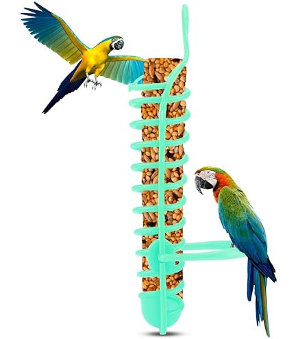 Tenedor De Acero Inoxidable Para Fruta, Juego De T... – Grandado