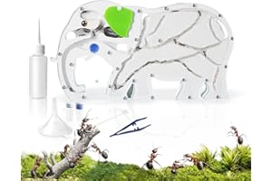 ELNMLHT Ant Farm Castle, Ant Nest Farm for Live Ants, Ant Colony Observation Kit, Ant Habitat Science Learning Kit for Students Kids Children