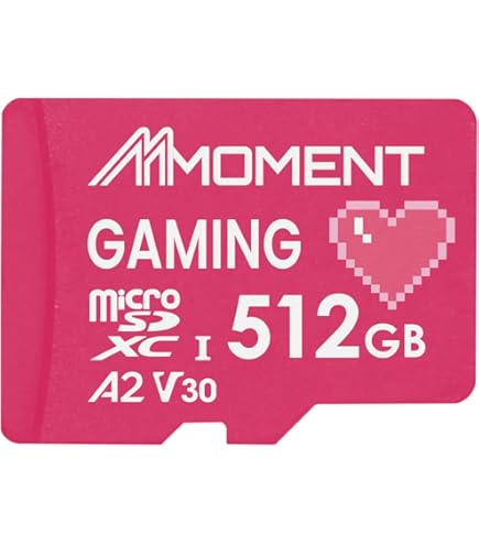 Amazon.com: SANDISK 512GB Pokémon Gengar microSDXC Card Licensed for  Nintendo-Switch - Made for Nintendo-Switch 1, OLED, and Lite