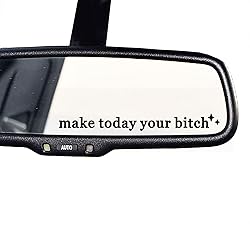 2 x Make Today Your Bi*ch, Rear View Mirror