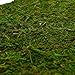 Byher Dried Moss Mat for Wedding Birthday Party Fairy Garden Decorations, Dark Green (14