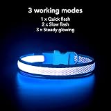 YFbrite Light Up Dog Collar USB Rechargeable LED Blue Medium view 2