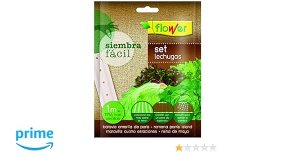 Flower 51165 51165-Siembra fácil lechugas, No aplica, 19x2x19 cm ...