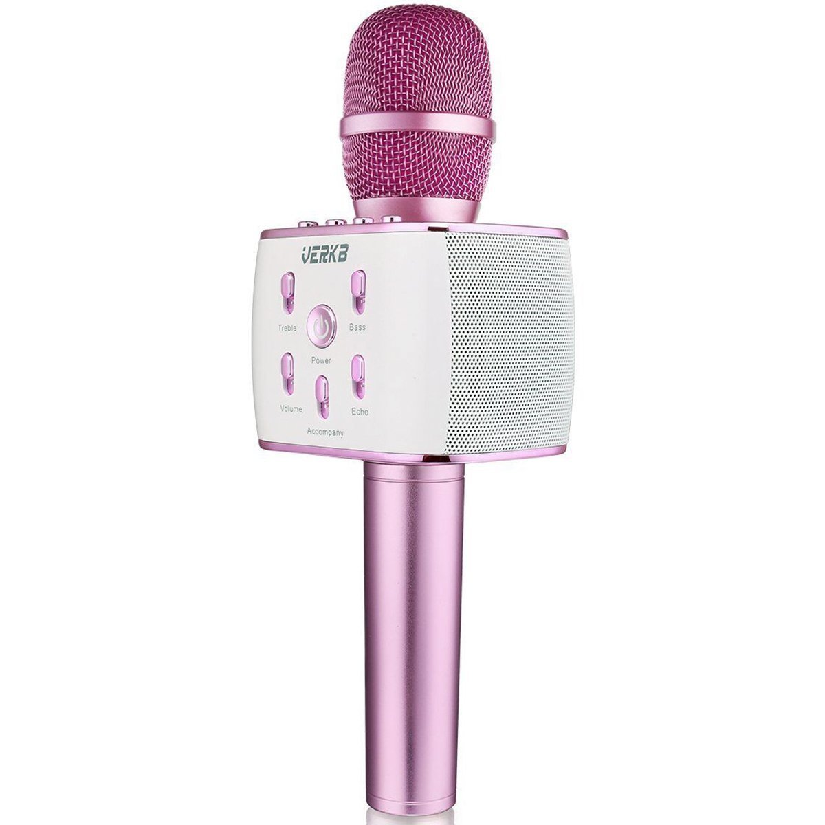 q5 karaoke microphone and speaker