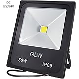 GLW 50W LED Flood Light 12V 24V DC Daylight White Outdoor Lights IP65 Waterproof Security Light 5010lm Landscape Lighting 300W Halogen Bulb Equivalent for Boat Working Lamp, Black Case