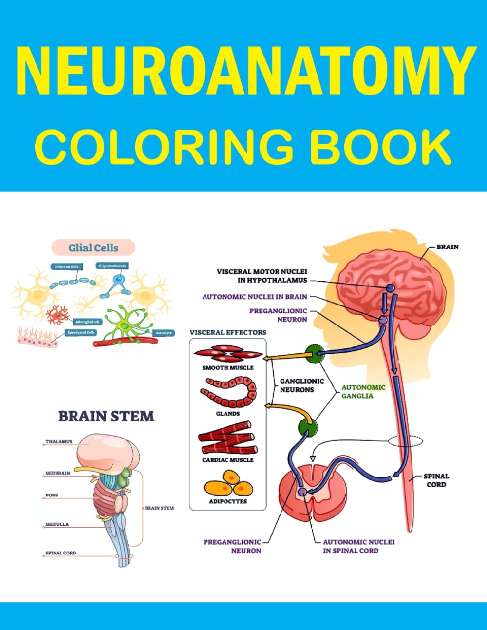 Neuroanatomy Coloring Book: Neuroanatomy Coloring Book For Kids Adults Teens & Medical Students. Human Brain Anatomy & Nervous System Coloring Book. ... Workbook for School & College Level Students Neuroanatomy Coloring Book: Neuroanatomy Coloring Book For Kids Adults Teens & Medical Students. Human Brain Anatomy & Nervous System Coloring Book. ... Workbook for School & College Level Students Pape
