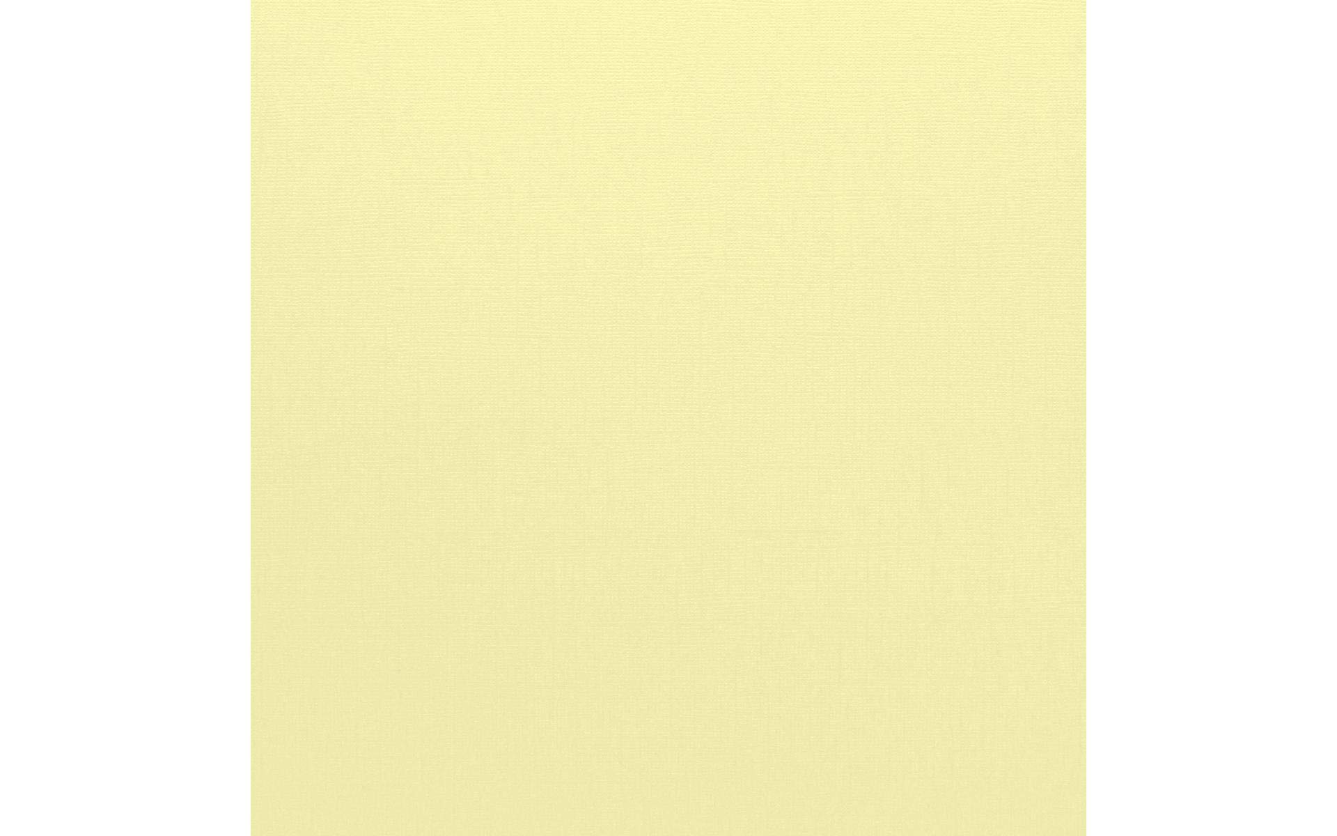 Bazzill Basics Paper 25 ScrapBooking Sheets Canvas Texture, Chiffon,12 x 12 inch