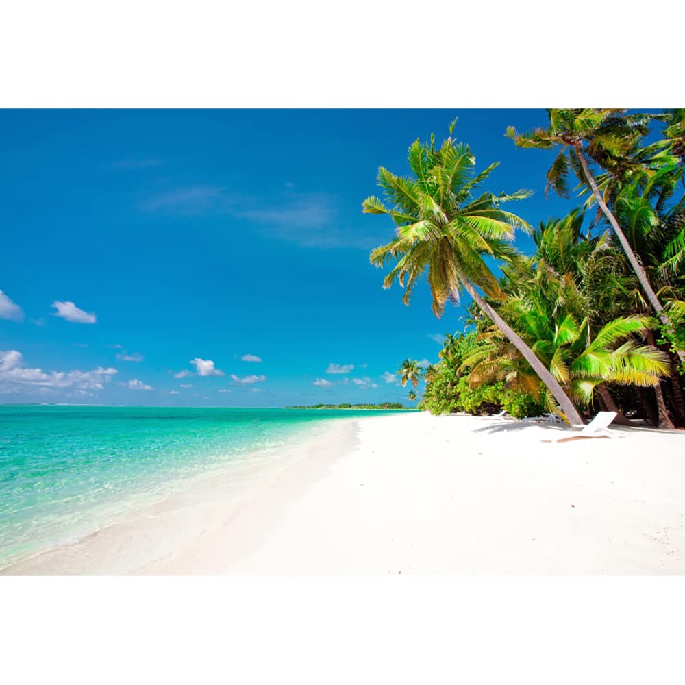 Aoihrraan 3x2m Summer Tropical Beach Photography Backdrop Jungle Palm Tree Seaside Blue Sea Sky Background Wedding Photo Summer Holiday Travel Party Banner Kids Adults Portrait Studio Props
