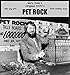 CBROSEY Rockinthebox Pet Rock with Walking Leash, Kraft