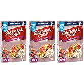 Oatmeal Crisp Triple Berry Cereal Family Size 570g/20.10oz, 3-Pack {Imported From Canada}