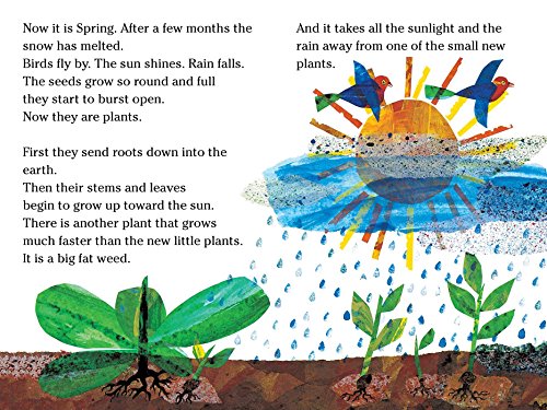 The Tiny Seed/Ready-to-Read Level 2 (The World of Eric Carle) - Thumbnail 6