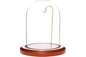 Plymor 3" x 4" Watch Glass Display Dome Cloche
