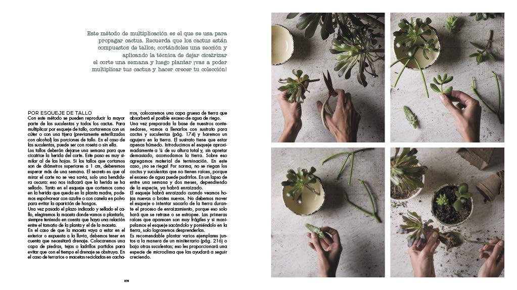 Compañía botánica: La guía definitiva de la jardinería urbana ...