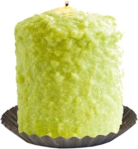 Warm Glow Candle Company Lime Margarita Hearth Candle with Tin, Multi