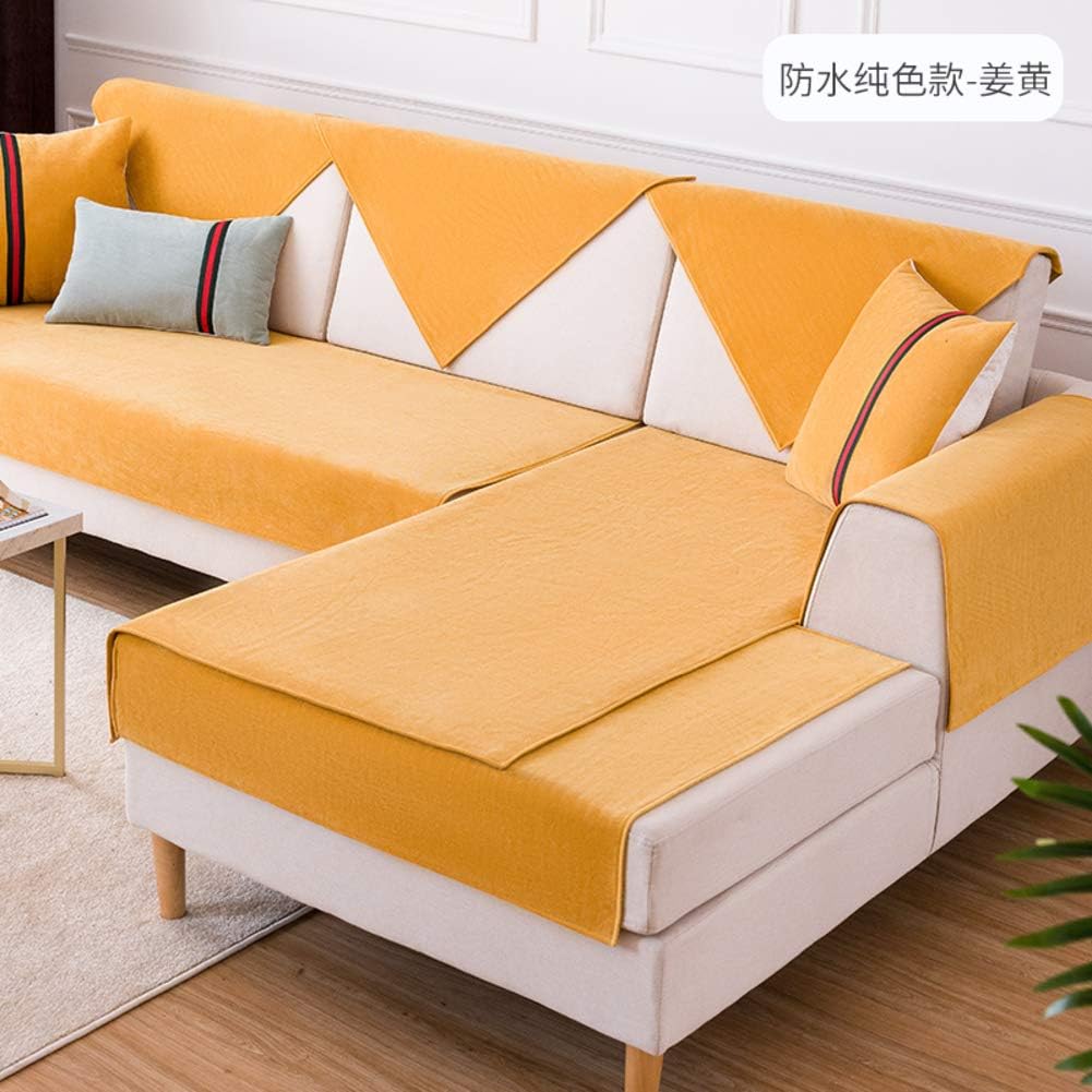 dog pee leather couch