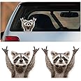 Funny Rocking Raccoon Sticker Decal - Cute Car Window Decal Waterproof Vinyl Sticker, 5.11×4.42 Inch Raccoon Pattern Car Laptop Wall Window Bumper Sticker (2PCS)