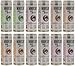 MOONSHOT Energy Drink Variety 12pk