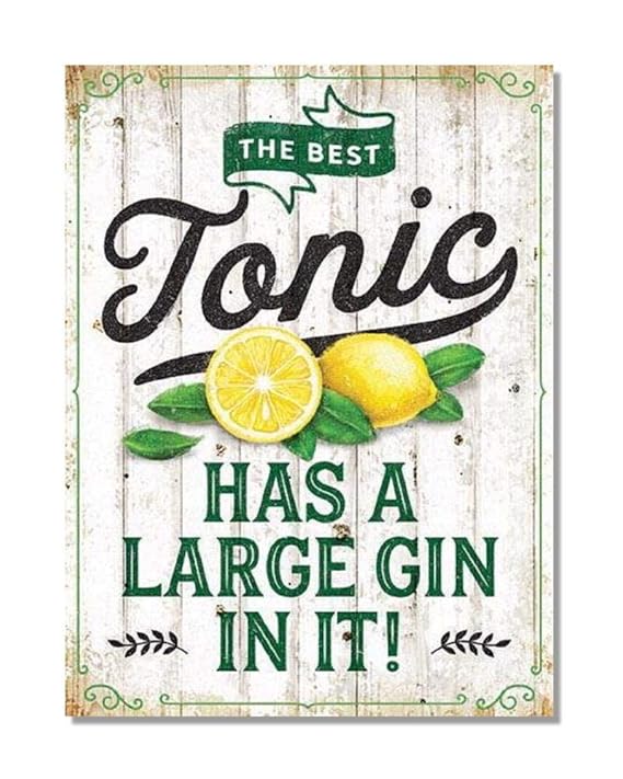 The Best Tonic Has A Large Gin In It! Drinking Humour Funny Plaque Retro Style Metal