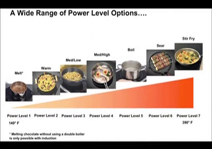 6 Fagor+670041470+Portable+Induction+Cooktop