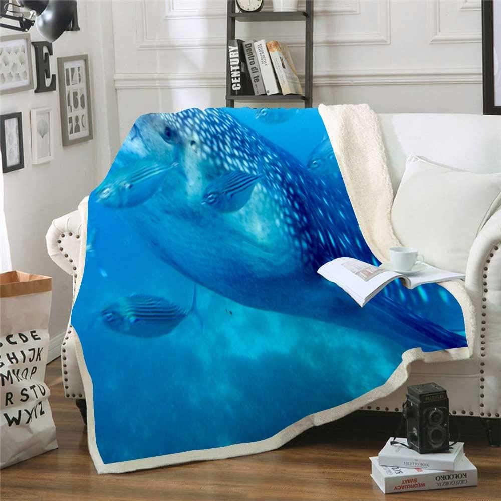 Musesh Winter Warm Blankets 60X80 Inch Soft Focus Feeding Whale Shark in City Juvenile Oslob Cebu Philippines Fleece Light Blanket for Kids,Bed,Sofa