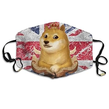 Amazoncom Typu Polyester Reusable Dust Wow Funny Shiba