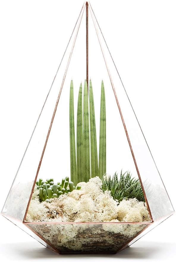 49cm HIGH EXTRA LARGE COPPER JEWEL TERRARIUM EMPTY FRAME ONLY Also available supplied fully assembled with live succulent plants and LED fairy lights. High quality glass and copper construction L27cm x H30cm x W49cm Exclusive designer geometric terrariums from The Urban Botanist. Stylish room decorations for home, office, events, interior design schemes (Empty - frame only)