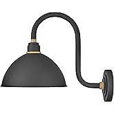 Hinkley Foundry Dome Medium Tall Gooseneck Barn Light, Aluminum, Dark Sky Compliant, 20" Extension, Industrial, 12" Shade, Te