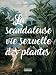 La scandaleuse vie sexuelle des plantes by 