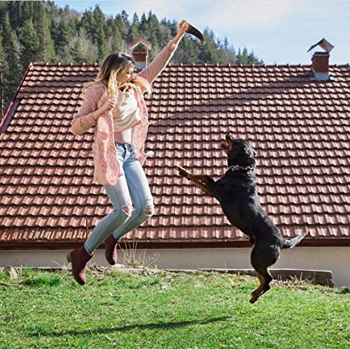 COPACHI Dog Chew Toys for Aggressive Chewers, Durable Dog Teething Chew Toys, Non-Toxic, Nearly Indestructible, Goat Horn Shape, for Large/Medium Breed Dogs, Beef Flavor