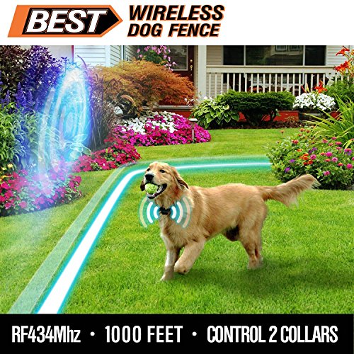 Best Wireless Dog Fence (NEW & IMPROVED 2018 VERSION) Rechargeable