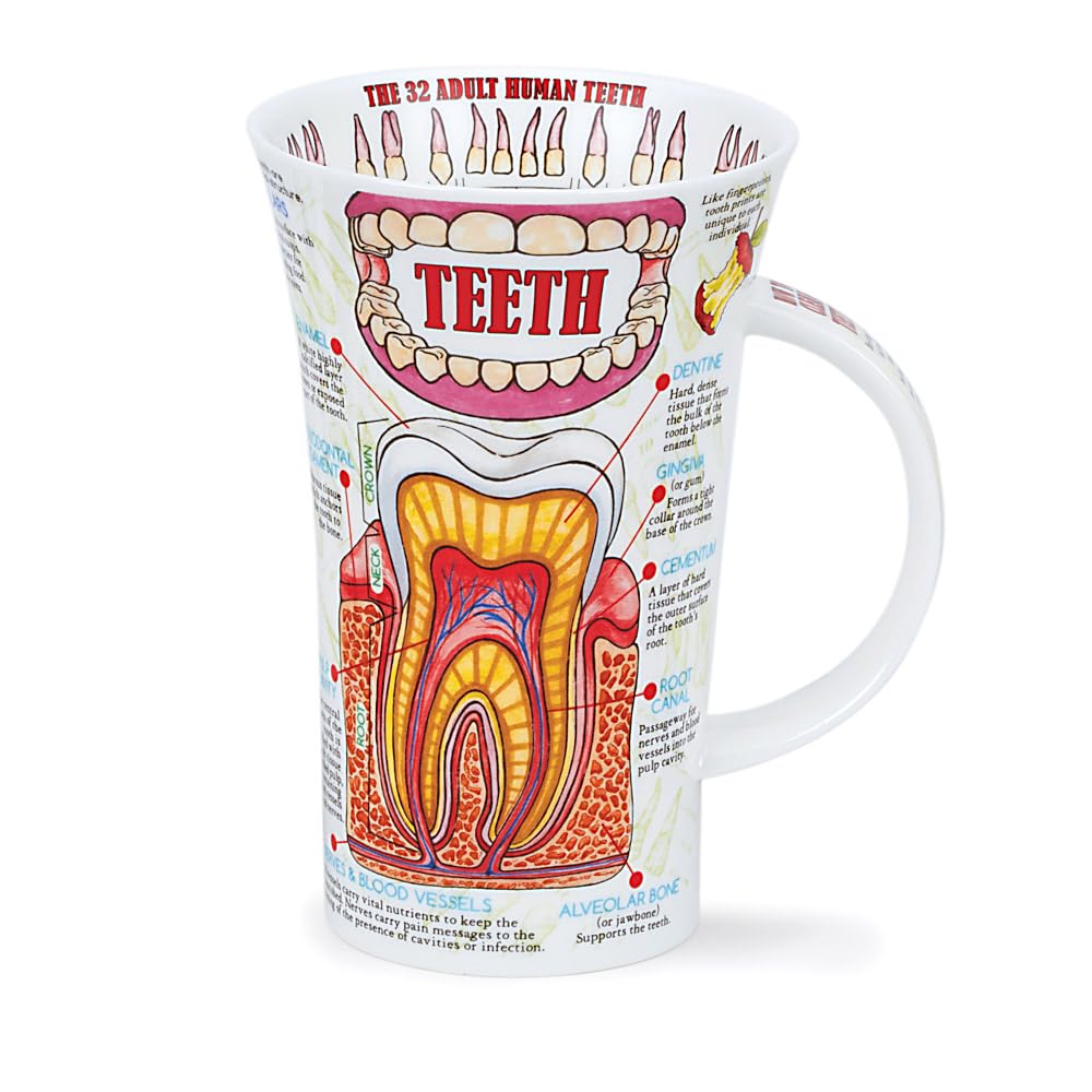 Dunoon Glencoe Shape Fine Bone China Mug - Teeth