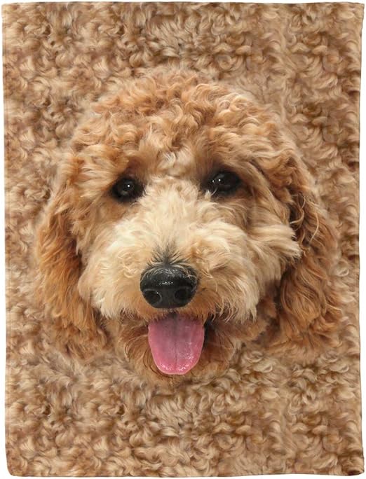 funny goldendoodle