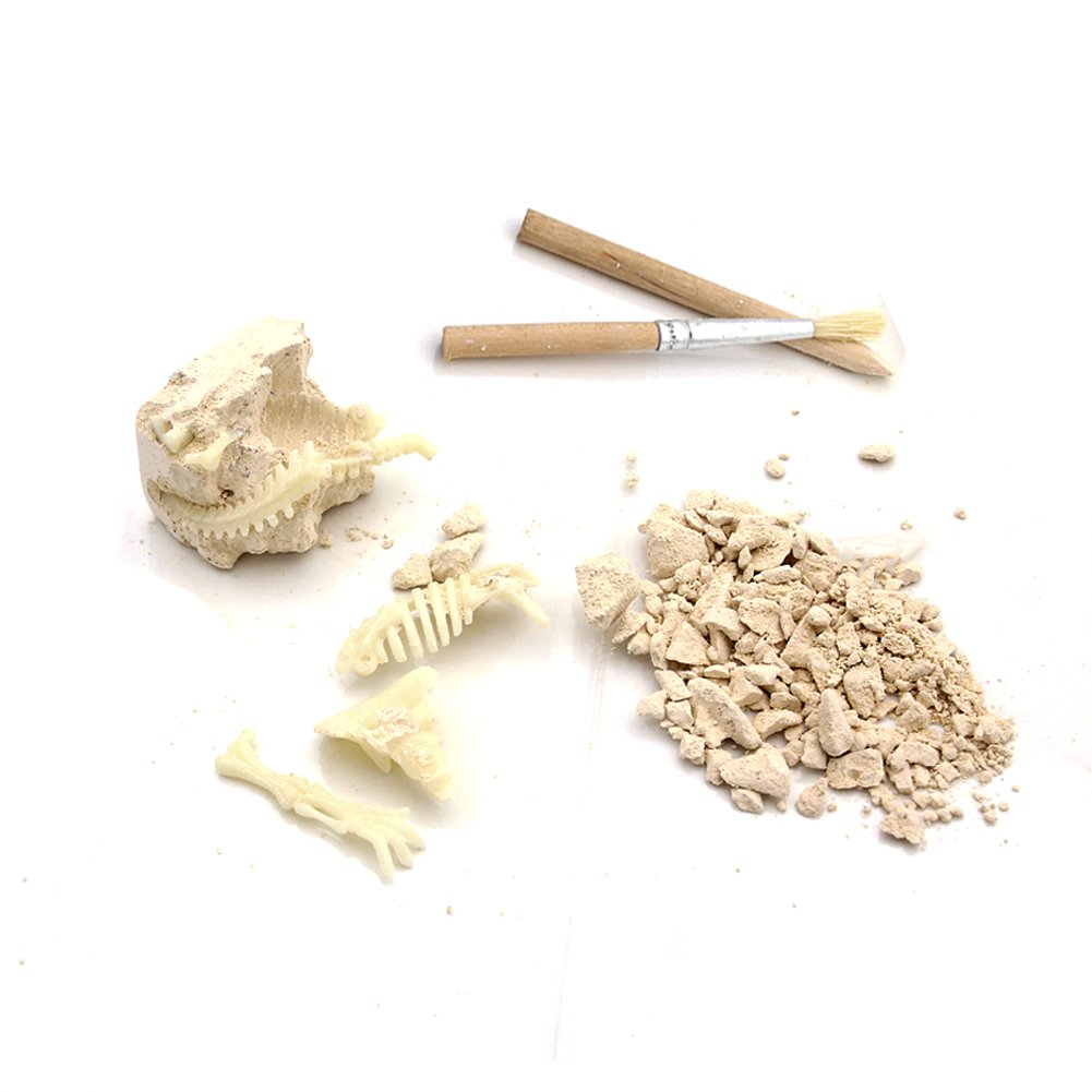 MCpinky Dinosaur Fossil Toys, Dinosaur Skeleton Bones Toy Excavation Science Kit Archaeology Paleontology Study with Tools Dinosaur Luminous Toys